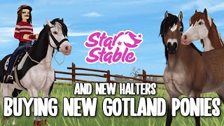 Buying the NEW GOTLAND PONIES gaits animations price amp more  Star Stable Online [upl. by Lednar78]