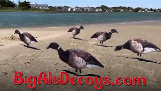 Big Als NEW Brant Silhouettes  Brant Hunting Decoys [upl. by Alieka]