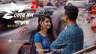 Tor Mon Paray ❤️  তোর মন পাড়ায়  Slowed  Reverb  Mahdi Sultan  Bangla Lofi Song [upl. by Tacy]