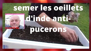 que faire au jardin en mars semer les oeillets dinde contre les pucerons [upl. by Schilt965]