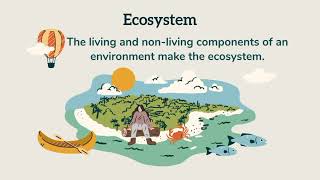 Ecosystem and its components  Biotic and Abiotic components  Producers consumers and decomposer [upl. by Carlene]