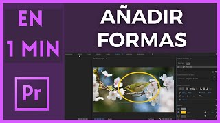 🟢 🟩Como Añadir Círculos Rectángulos o Cuadrados a un Video en Adobe Premiere Tutorial 🟩 🟢 [upl. by Yrrot]