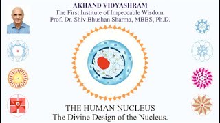 THE HUMAN CELL NUCLEUS  An Exploration of the Divine Design of Nature of the Human Cell Nucleus [upl. by Market]