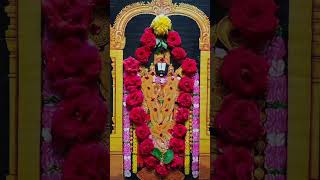 lord Venkateswara Swamy songs lordvenkateshwaraswamy venkateswarasongs [upl. by Ahselef727]