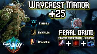 M25 Waycrest Manor  Feral Druid  Dragonflight Season 3  WoW 102 [upl. by Husein]