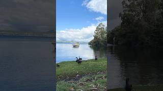 Taupo Trip 2024 🏞️🌊New ZealandshortsTaupo lake [upl. by Sonnnie58]