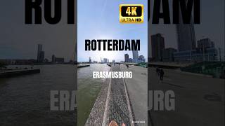 Erasmusburg Rotterdam in Netherlands 4K Short Video with Insta360 X4 [upl. by Shreeves]