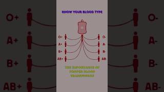 Know Your Blood Type The Importance of Proper Blood Transfusion sciencefacts blooddonation [upl. by Newcomer]