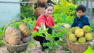 Harvest Pumpkin for Curd Santol Fruit Delicious Vegetable around home so good Cooking with Sros [upl. by Aisanahta]