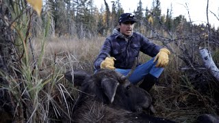 Saskatchewan Moose Hunt  Sept 29th [upl. by Annairol848]