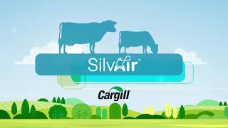 Reducing methane emissions in Dairy with SilvAir® [upl. by Euqinommod795]