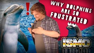 ISMO  Why Dolphins Are So Frustrated [upl. by Dimitry]