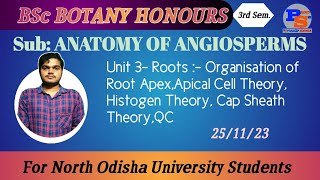 Roots Organization of Root Apex Apical Cell Theory Histogen Theory Cap Sheath Theory QC [upl. by Nonnah]