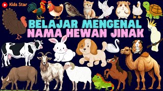 BELAJAR TEBAK NAMA BINATANG HEWAN JINAK  TAME ANIMALS LEARNING ANIMALS  BAHASA INDONESIA  INGGRIS [upl. by Caralie]