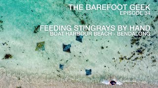 Ep34  HandFeeding the Stingrays at Bendalong [upl. by Barstow]