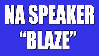 NA Speaker Blaze – “Our Message is Hope”  NA Convention Workshop [upl. by Sanburn]