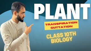 Excretion In Plants  Transpiration  Guttation  Class 10th Biology  Basharat Ali Lectures [upl. by Ahsiele760]