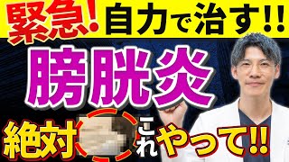 【医者いらず！】膀胱炎を自力で簡単に治す方法について泌尿器科専門医が解説 [upl. by Ienttirb]