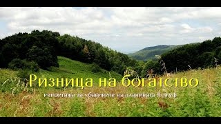 Ризница од богатства планината Кожуф [upl. by Hollenbeck]