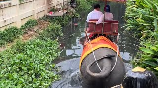 Elephant Ride in Chang Puak Camp Damnoen Saduak Thailand [upl. by Aluap]