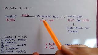 Mechanism of action of isoniazid  adverse reaction of isoniazid  isoniazid antitubercular drugs [upl. by Letch]