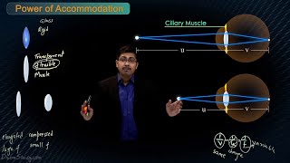 Human Eye  Power of Accommodation of Human Eye  Chapter 13 CBSE Class 10 Science  Toppr Study [upl. by Alegnaoj]