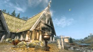 Skyrim Enhanced Shaders FX 20 Preview  ENBseries 0141  Day Night Cycle [upl. by Brnaba585]