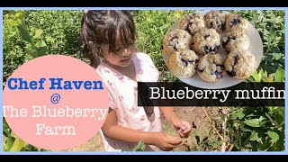 Come w me to the Farmhow to make Blueberry muffin with crumble toppings 🫐🧁 [upl. by Anora]