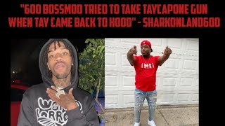 quot600 BossMoo Tried To Take TayCapone Gun When Tay Came Back To Hoodquot  SharkonLand600 [upl. by Emolas690]