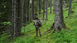 24h SOLO ASMR bivouac bushcraft en forêt [upl. by Nylynnej]