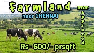 Farmland near ChennaiDTCP approved [upl. by Tamar]