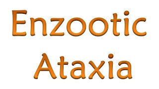 Enzootic ataxia  Swayback  by Dr SSivaraman Assistant Professor Sheepfarming Goatfarming [upl. by Leahcim]