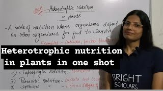 Heterotrophic nutrition in plants science sciencefacts education study [upl. by Gerty]