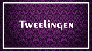 TWEELINGEN Tarot September 2024  De lift pakken [upl. by Dnalevets]