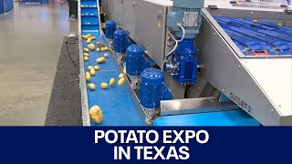 Potato Expo highlights all things potatoes  FOX 7 Austin [upl. by Drofla225]