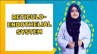 Reticuloendothelial system Notes in description Immunity [upl. by Eek464]