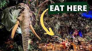 Eat Lunch in a Jungle at the Rainforest Cafe at Animal Kingdom [upl. by Cavanaugh257]