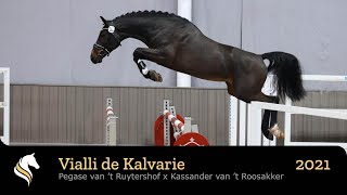 Vialli de Kalvarie [upl. by Heyer]