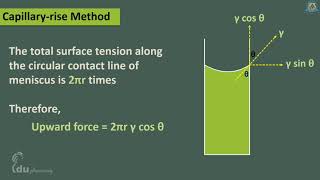 Capillary rise method for surface tension determination  Surface chemistry  surface phenomenon [upl. by Hornstein]