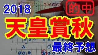 天皇賞秋 2018 最終予想 【競馬予想】 [upl. by Pearl]