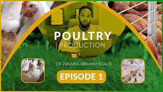 Poulry Production Episode 1 [upl. by Launcelot]