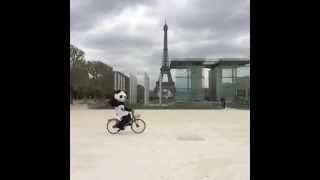 Les pandas de zoobeauval  à vélo dans Paris [upl. by Rissa]