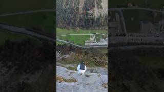 double gainer adrenaline basejump nature flying mountains mountain adventure switzerland [upl. by Ornas397]