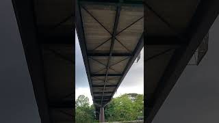 Long Pedestrian bridgeShortsBotanic bridgeyoutubeshorts [upl. by Ayanaj836]