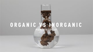 Organic Vs Inorganic Pigments  Pigmentology 101 [upl. by Anomas]