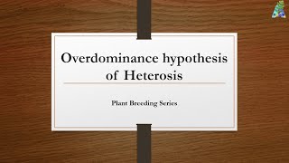 Overdominance Hypothesis of Heterosis [upl. by Adey]