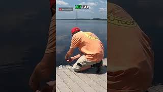 Handline Tips and Tricks Catching big guy [upl. by Hanaj711]