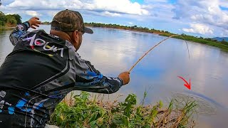 IMPRESSIONANTE SE NÃO TIVESSE FILMADO NINGUÉM ACREDITARIA ERA PRA SER UMA SIMPLES PESCARIA [upl. by Arammat]