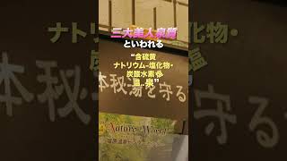 【栃木県温泉】日本で唯一の真っ黒な極上温泉！月曜から夜ふかしでも紹介された那須の大出館に行ってみた 温泉 栃木温泉 那須温泉 秘湯 [upl. by Otrebron]