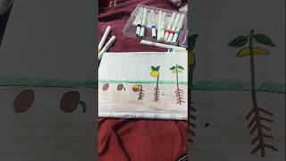 Germination of seeds drawing very easy 🥱 [upl. by Niven]